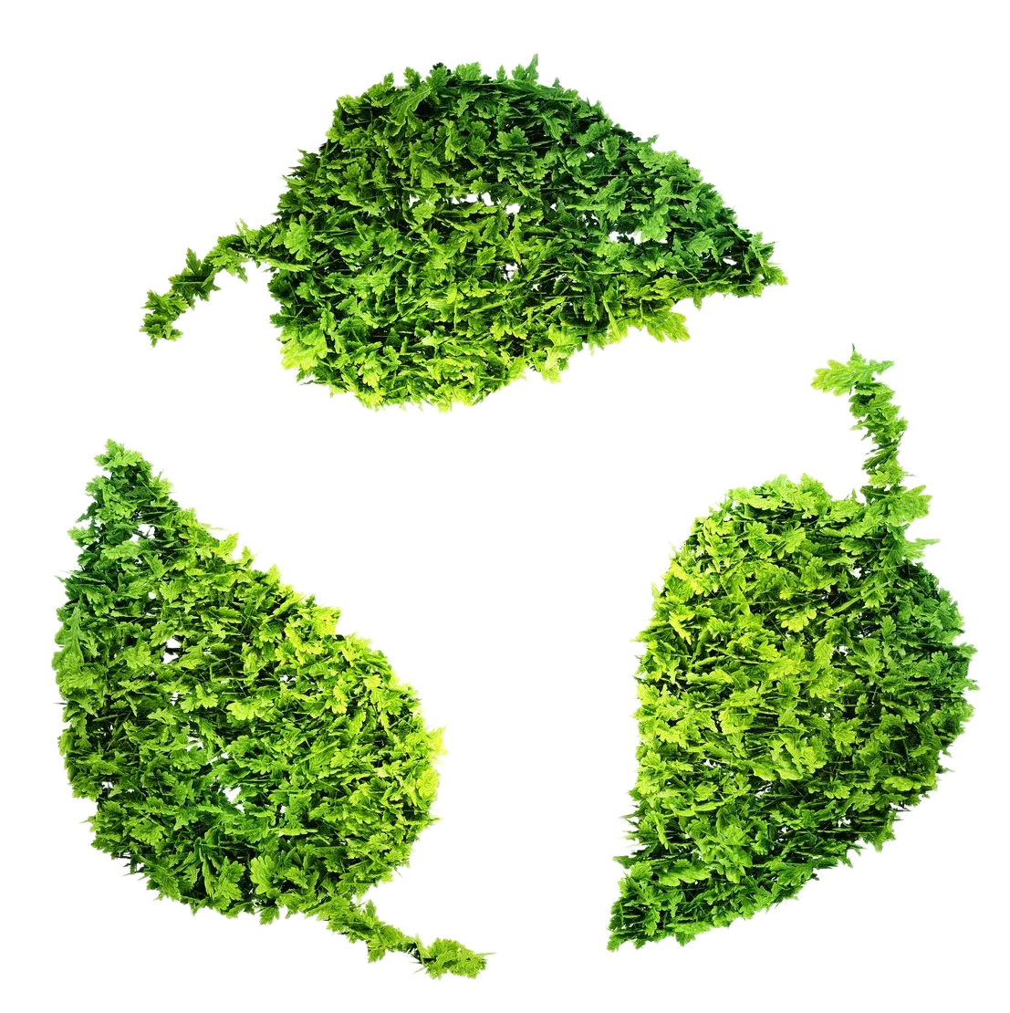 Sustainability Image