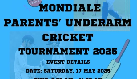 Underarm Cricket Tournament for Parents!