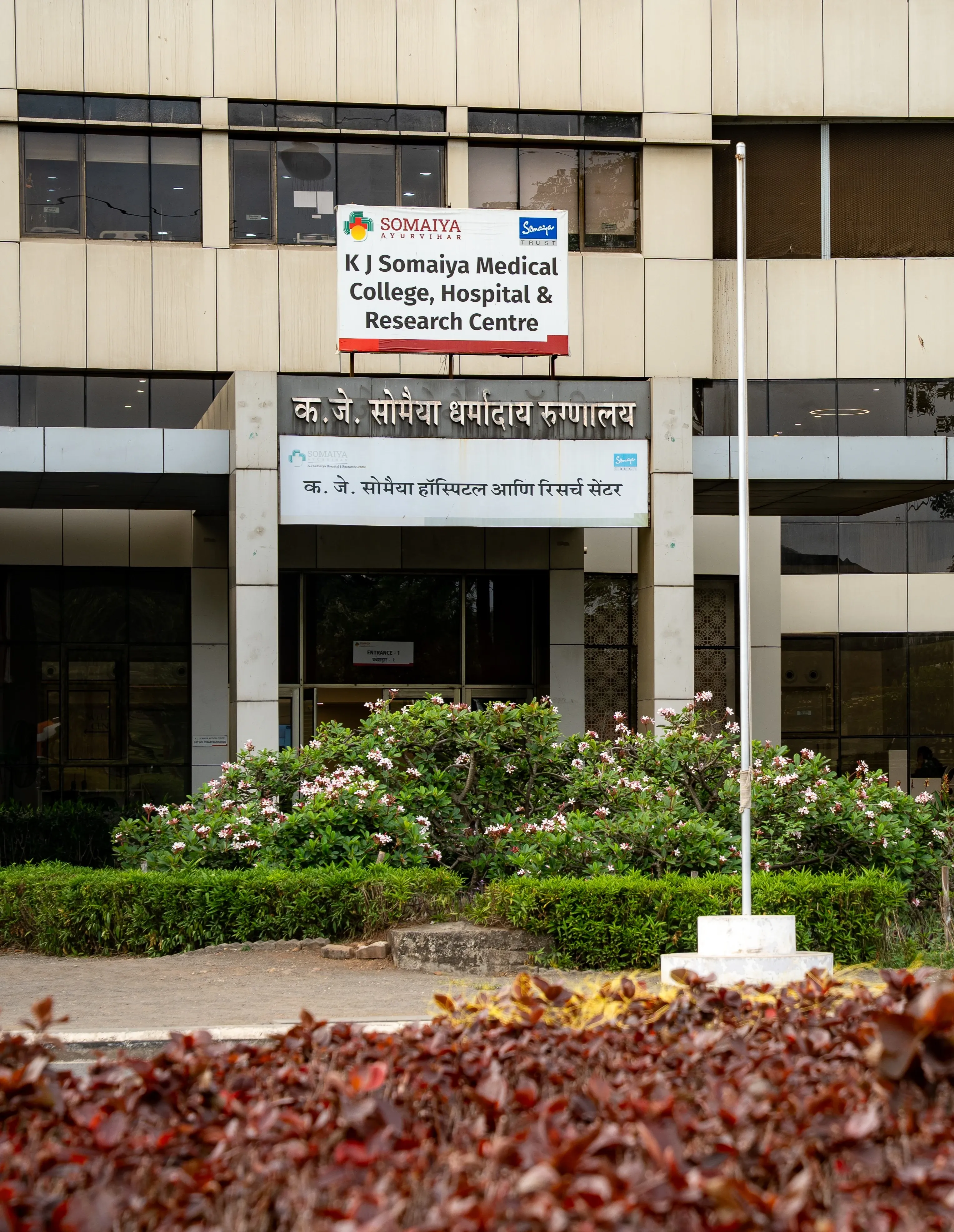Service Image