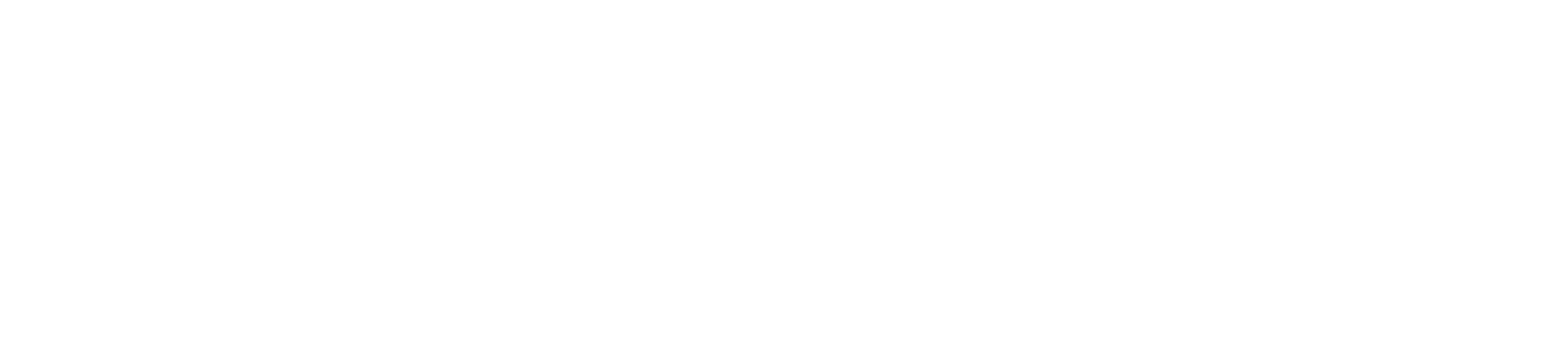 South Seas Distilleries Logo