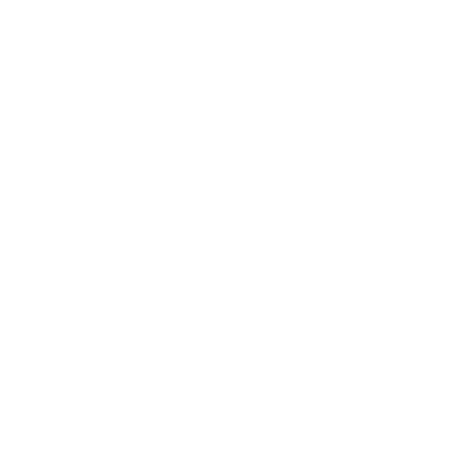 Timing Icon