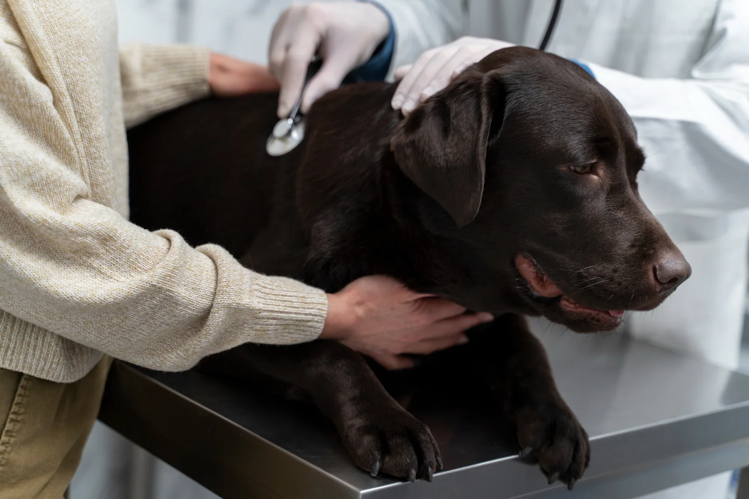 Advanced Diagnostic Imaging Services