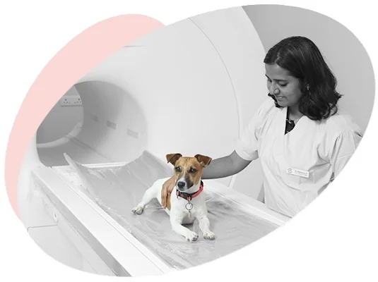 Advanced Diagnostic Imaging Services