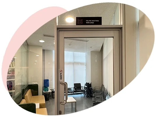 Separate Waiting Area