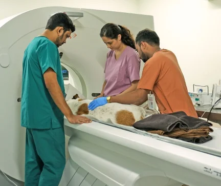A Glimpse Into Our World Of Care