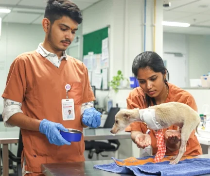 A Glimpse Into Our World Of Care