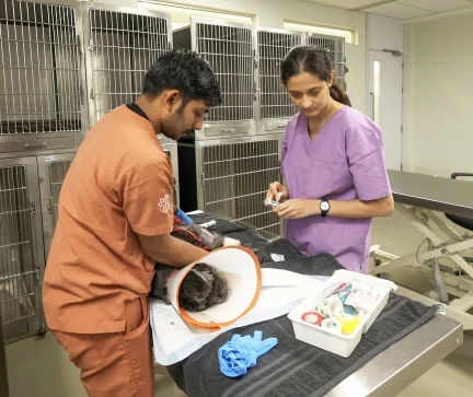 A Glimpse Into Our World Of Care