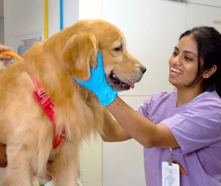 A Glimpse Into Our World Of Care