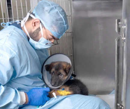 A Glimpse Into Our World Of Care