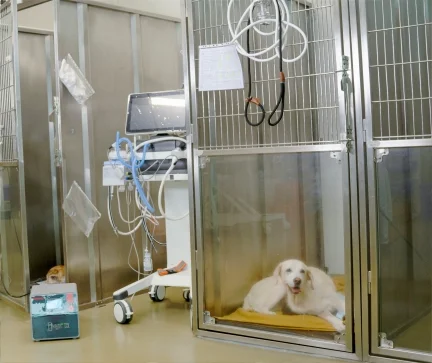 A Glimpse Into Our World Of Care