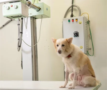 A Glimpse Into Our World Of Care