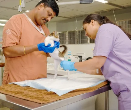 A Glimpse Into Our World Of Care