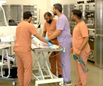A Glimpse Into Our World Of Care