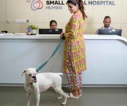 A Glimpse Into Our World Of Care