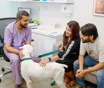 A Glimpse Into Our World Of Care