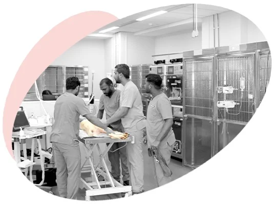 Specialized Critical Care Units