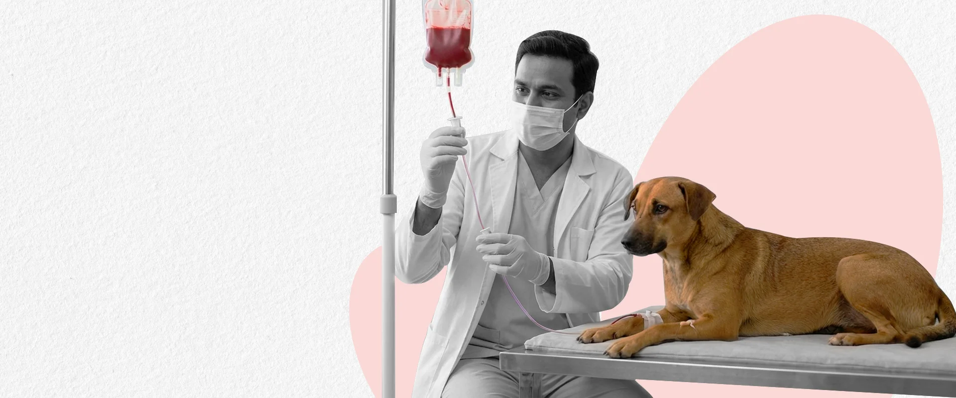 Blood Transfusion