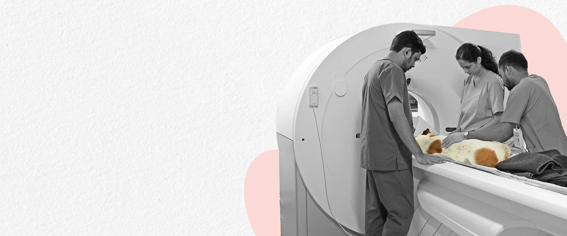 Diagnostic & Imaging